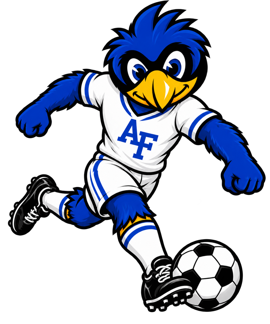 Air Force Boys Soccer Bird