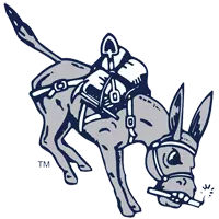 Opponent Logo