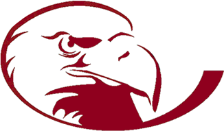 Opponent Logo