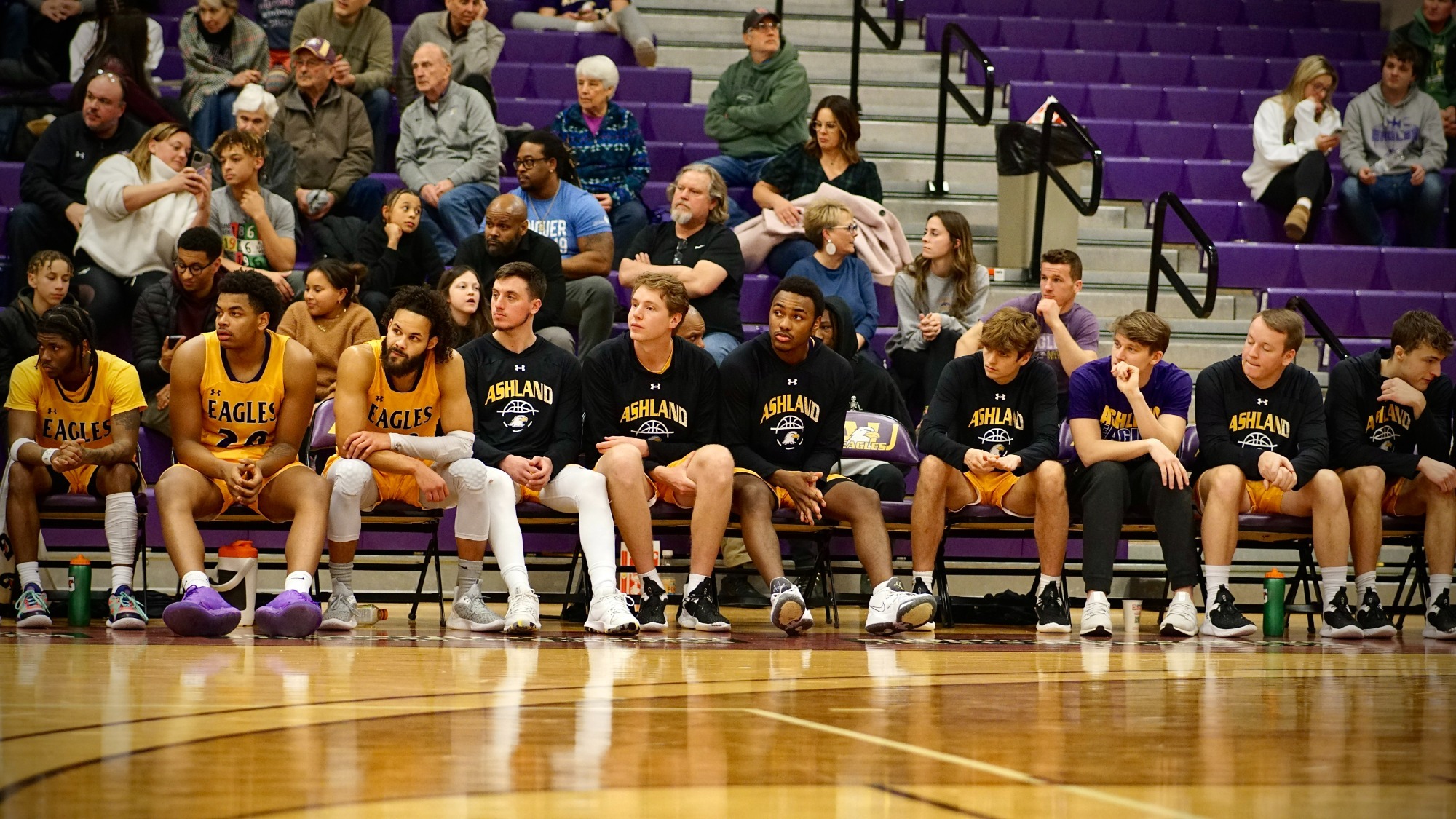 Ashland Men Fall To Wilberforce At Home Ashland University
