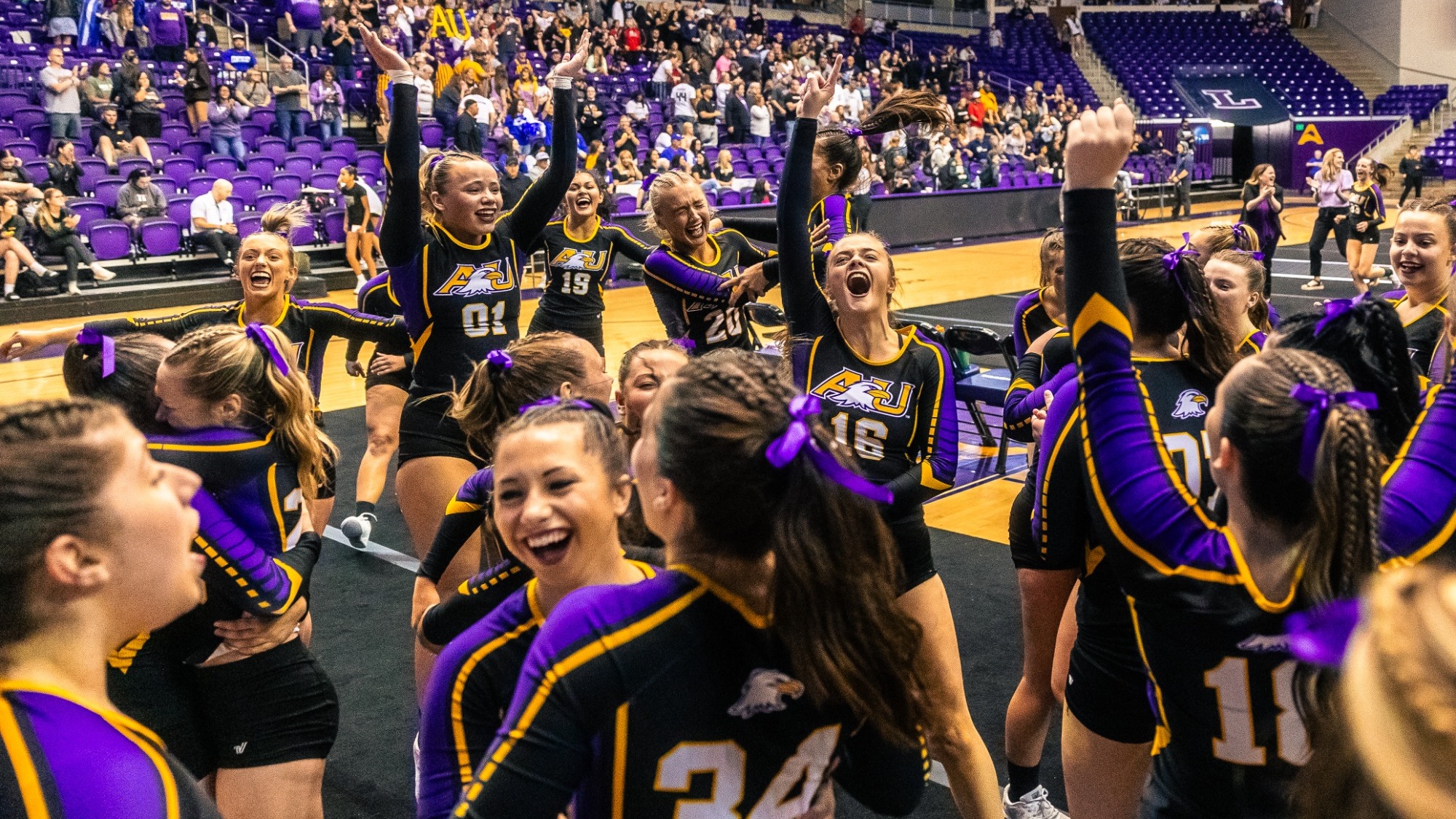 STUNT celebration pic