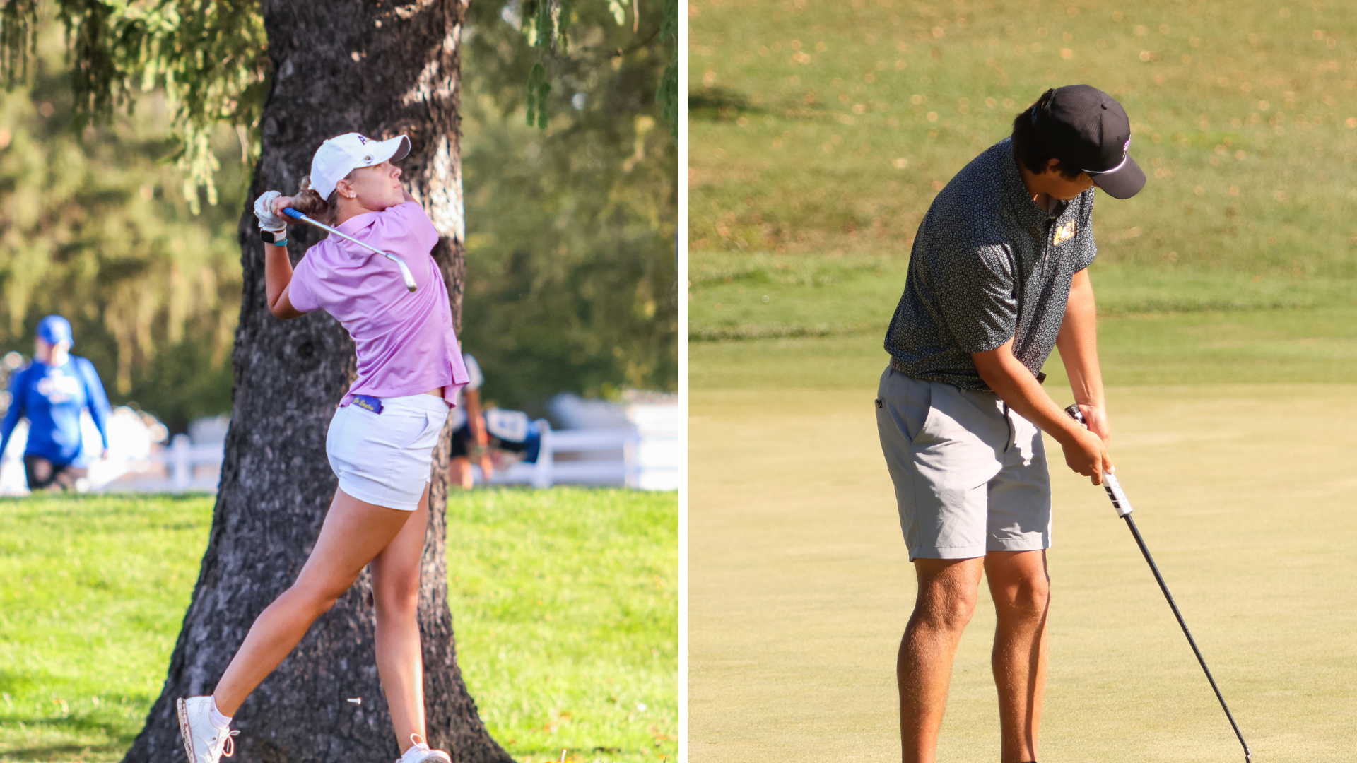 gvujbhkjnlkmniguvbhjkn