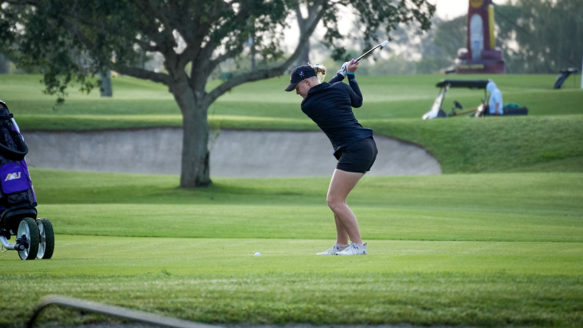 Third Vidovic WGOLF action shot 2026 D-II Championship