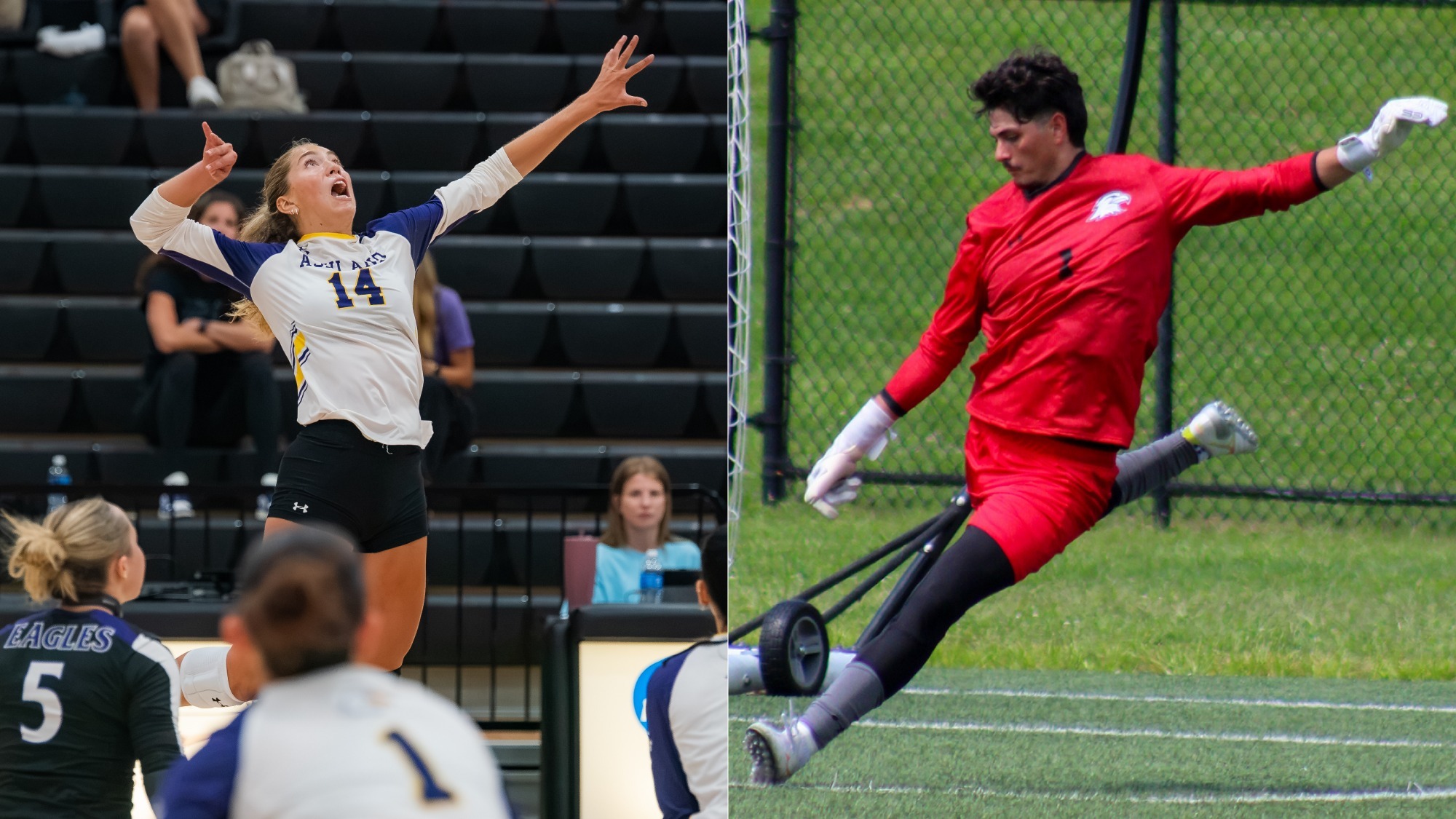Updated 8-31-26 G-MAC AOTW rotator