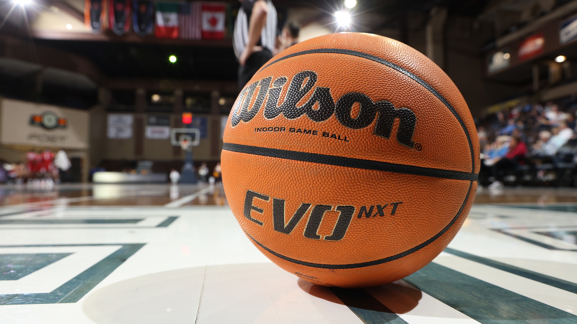 Men's Basketball Signs A Pair For 202425 Augustana University Athletics