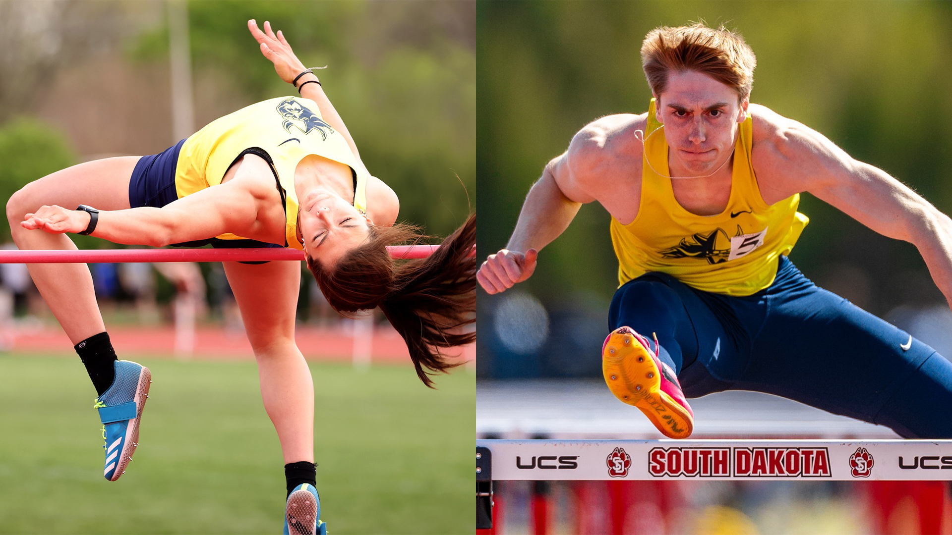 Greenwaldt and Martens