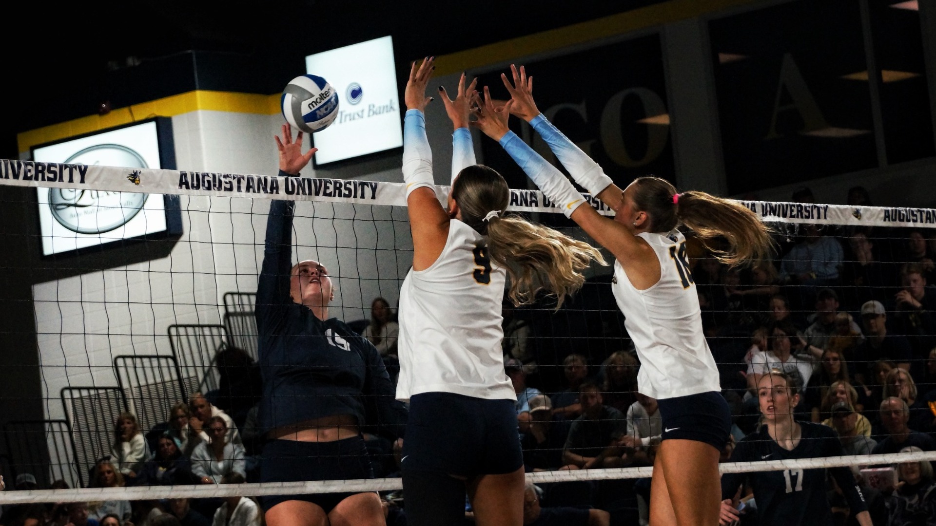 AU VB 