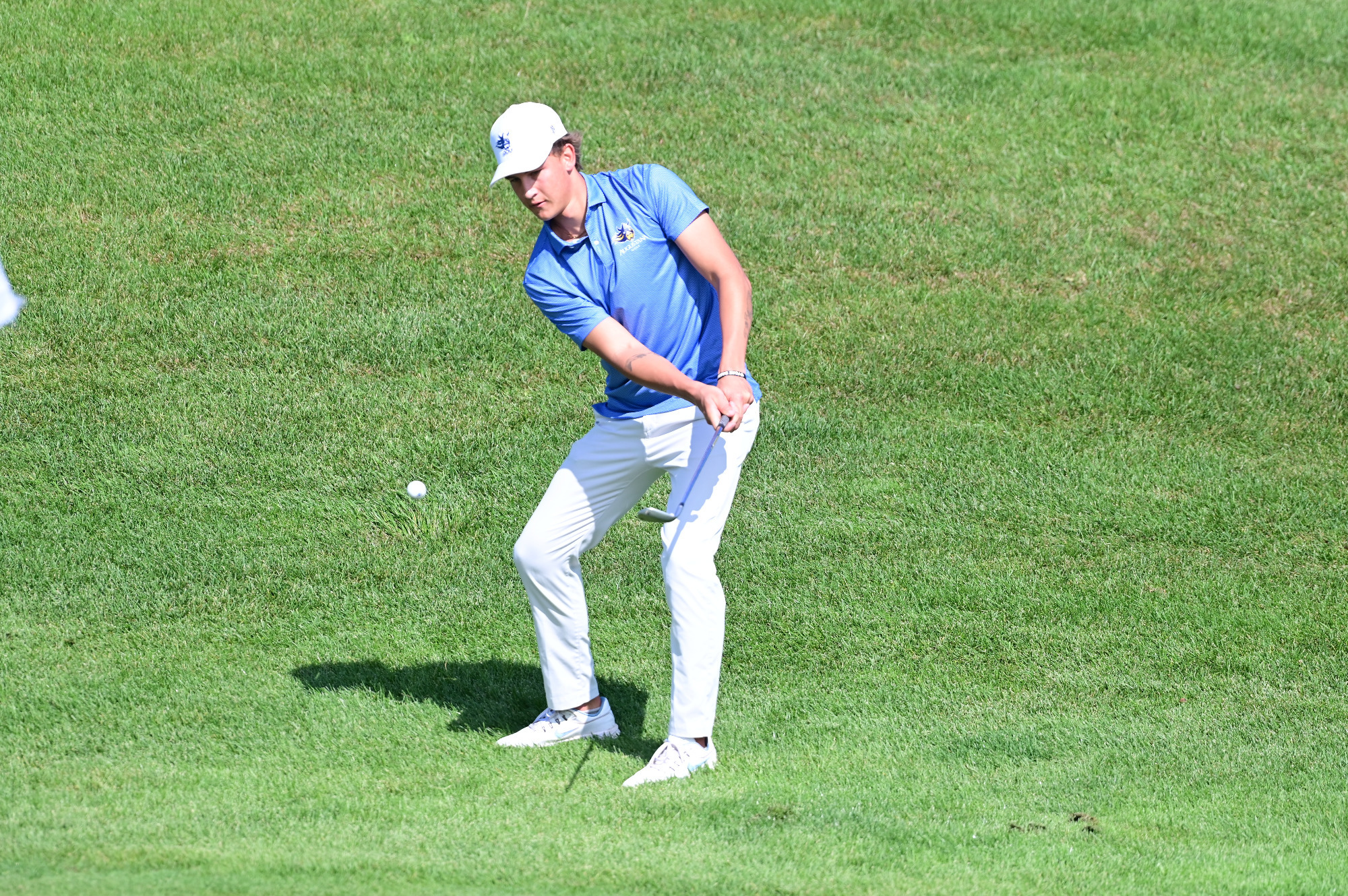 Men's Golfer