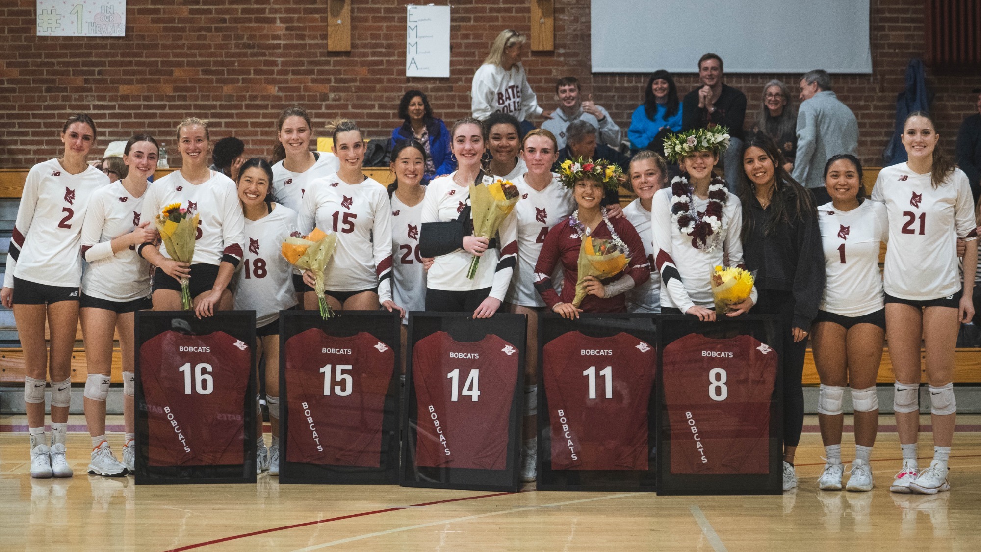 Volleyball Seniors