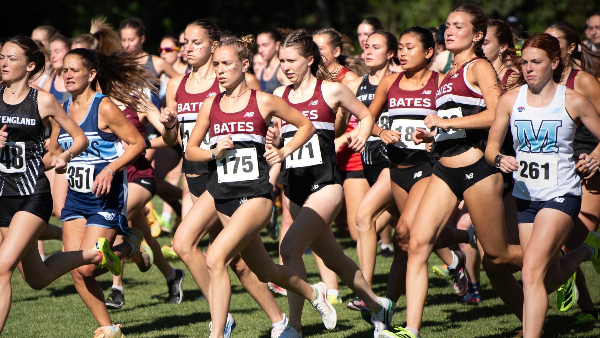 WXC