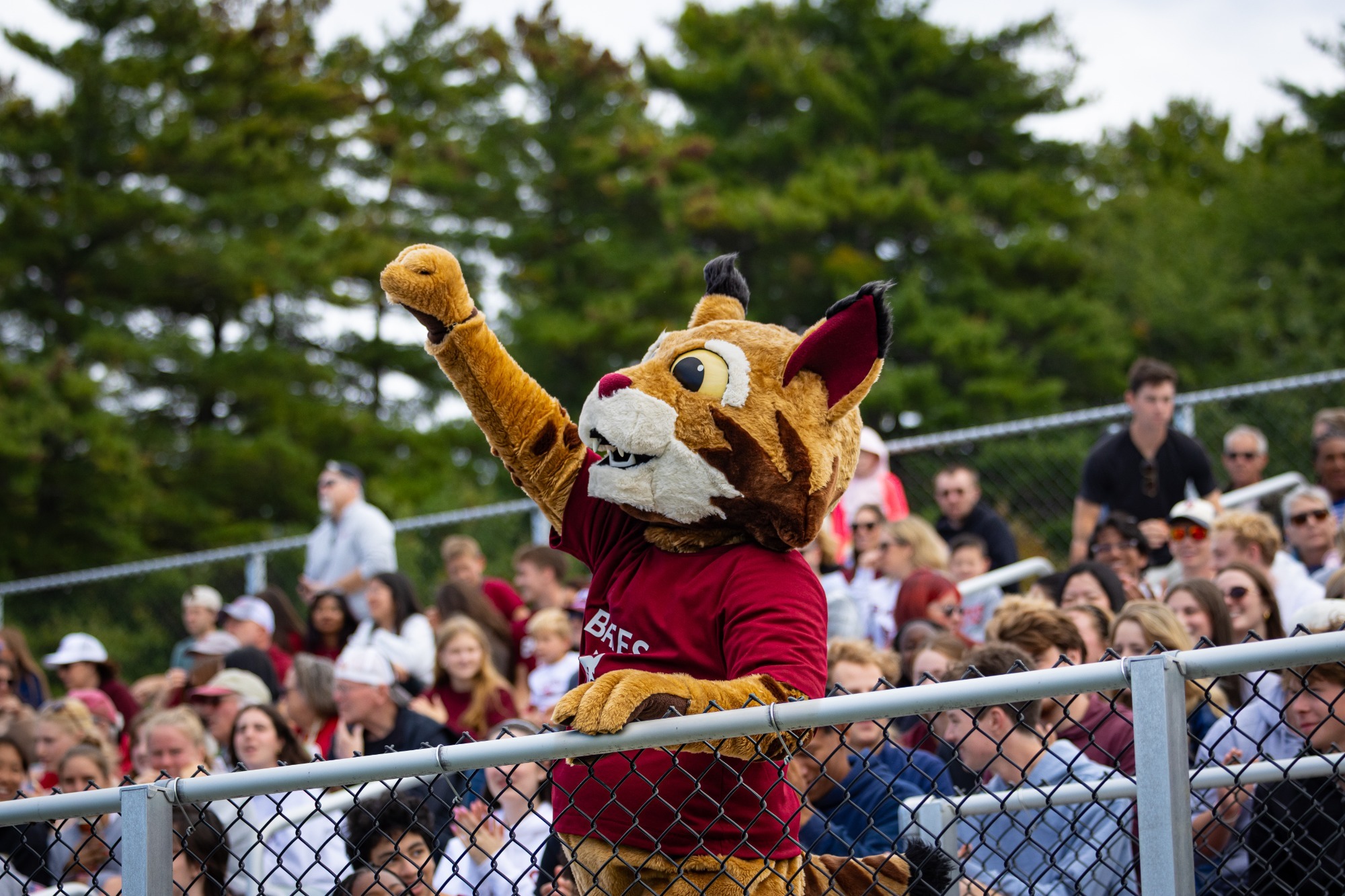 Bates Bobcat Mascot