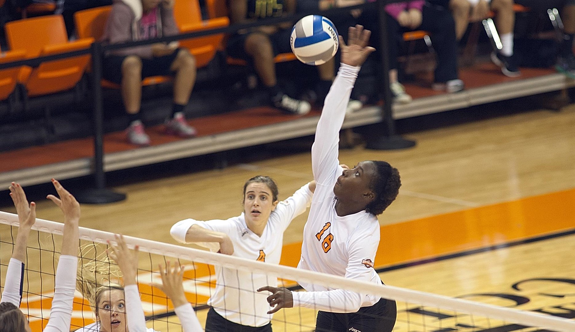 Deveney Wells-Gibson 