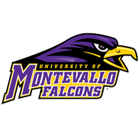 Opponent Logo