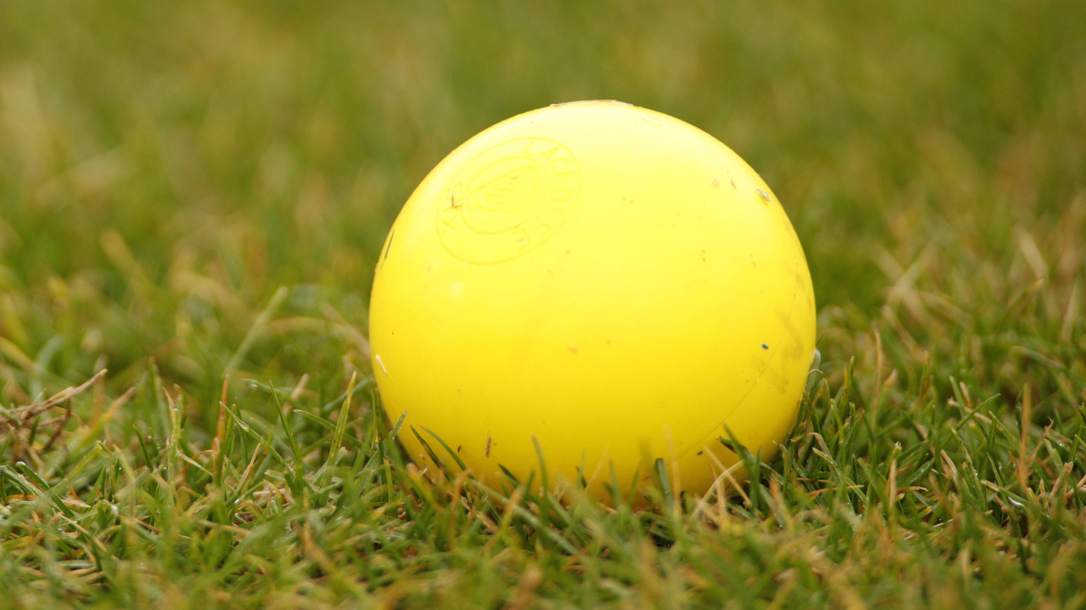 Lacrosse Signs Seven for 2019 Presbyterian College