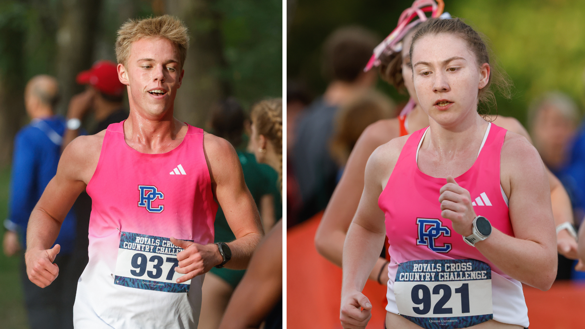 Cross Country NCAAs Panorama Farms