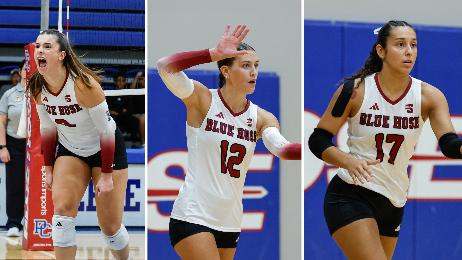 Elyse Hutchinson, Julia Yurkovich, Celimar Hoyos