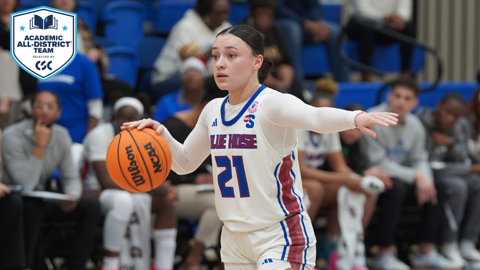 Daniella Velez CSC Academic All-District Selection