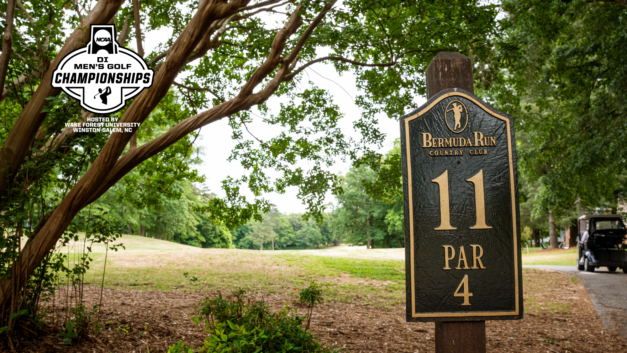 Bermuda Run