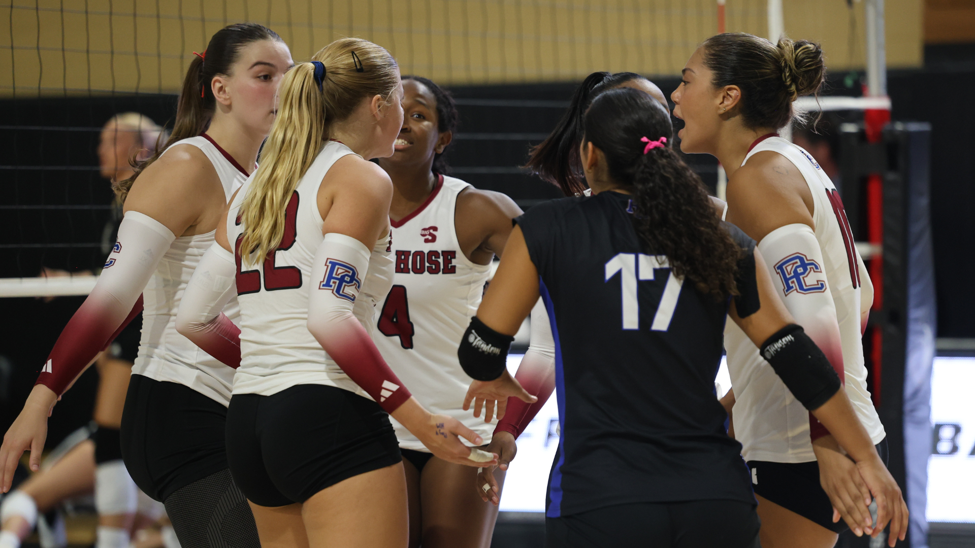 Volleyball Team Huddle