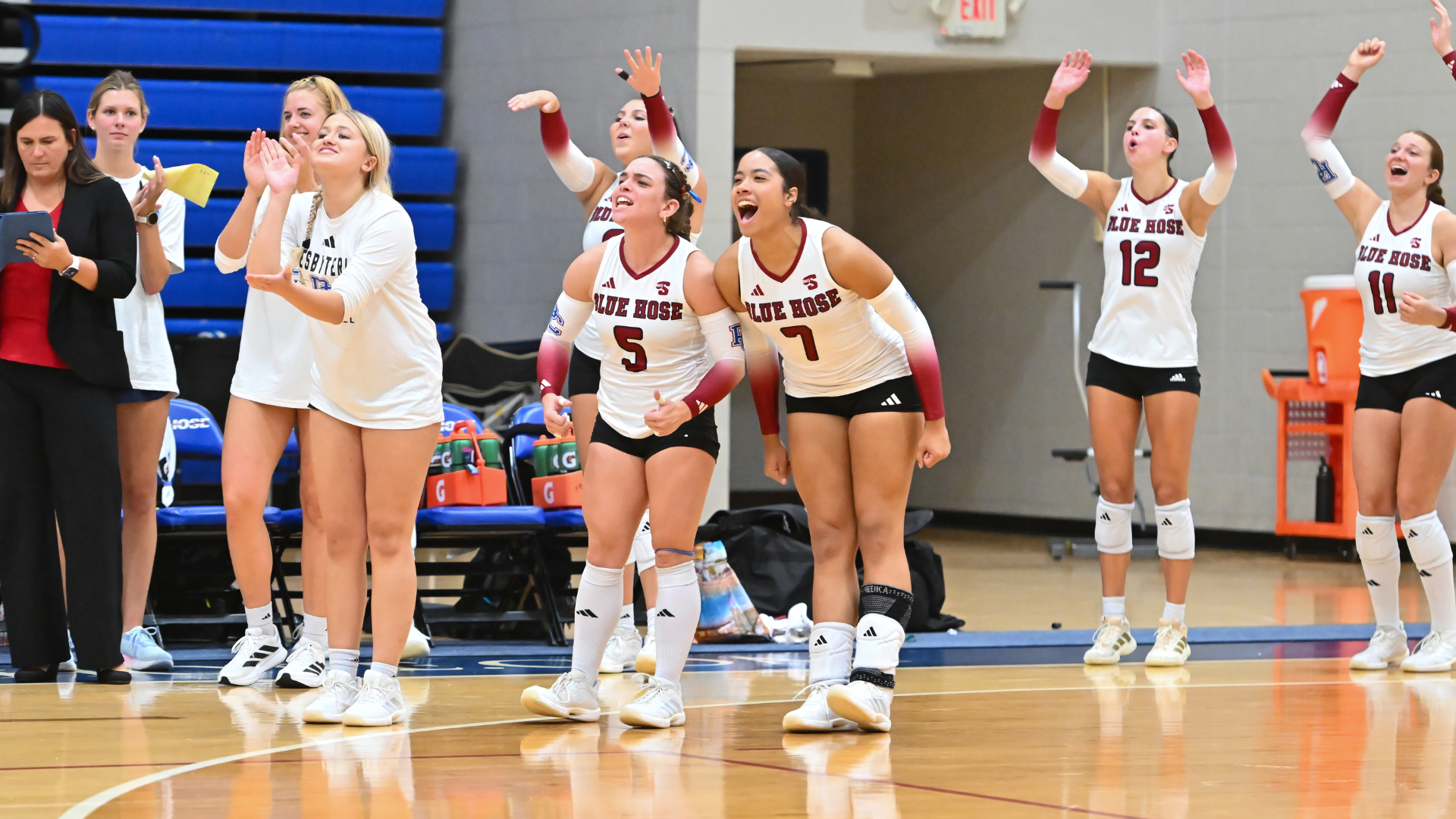 Volleyball Celebration Picture