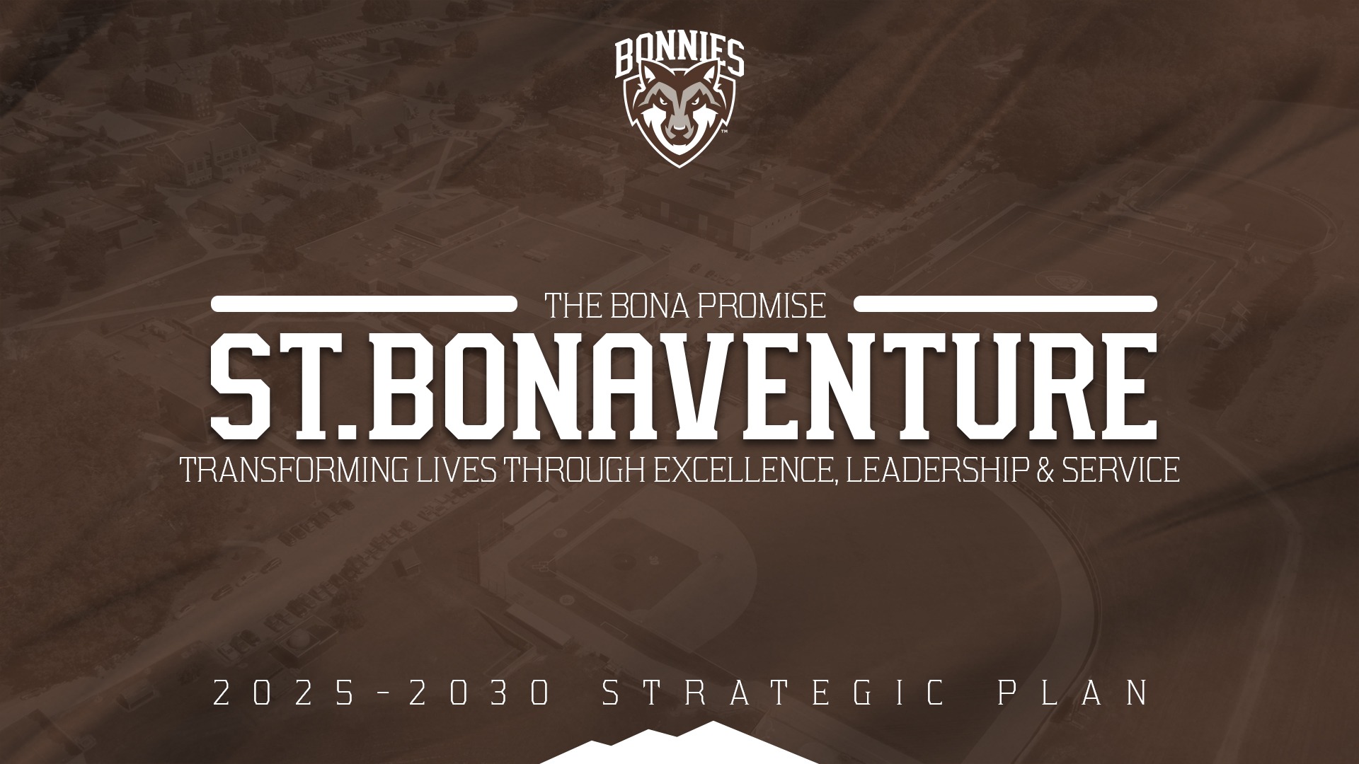 Strategic Plan 2025-30 FP