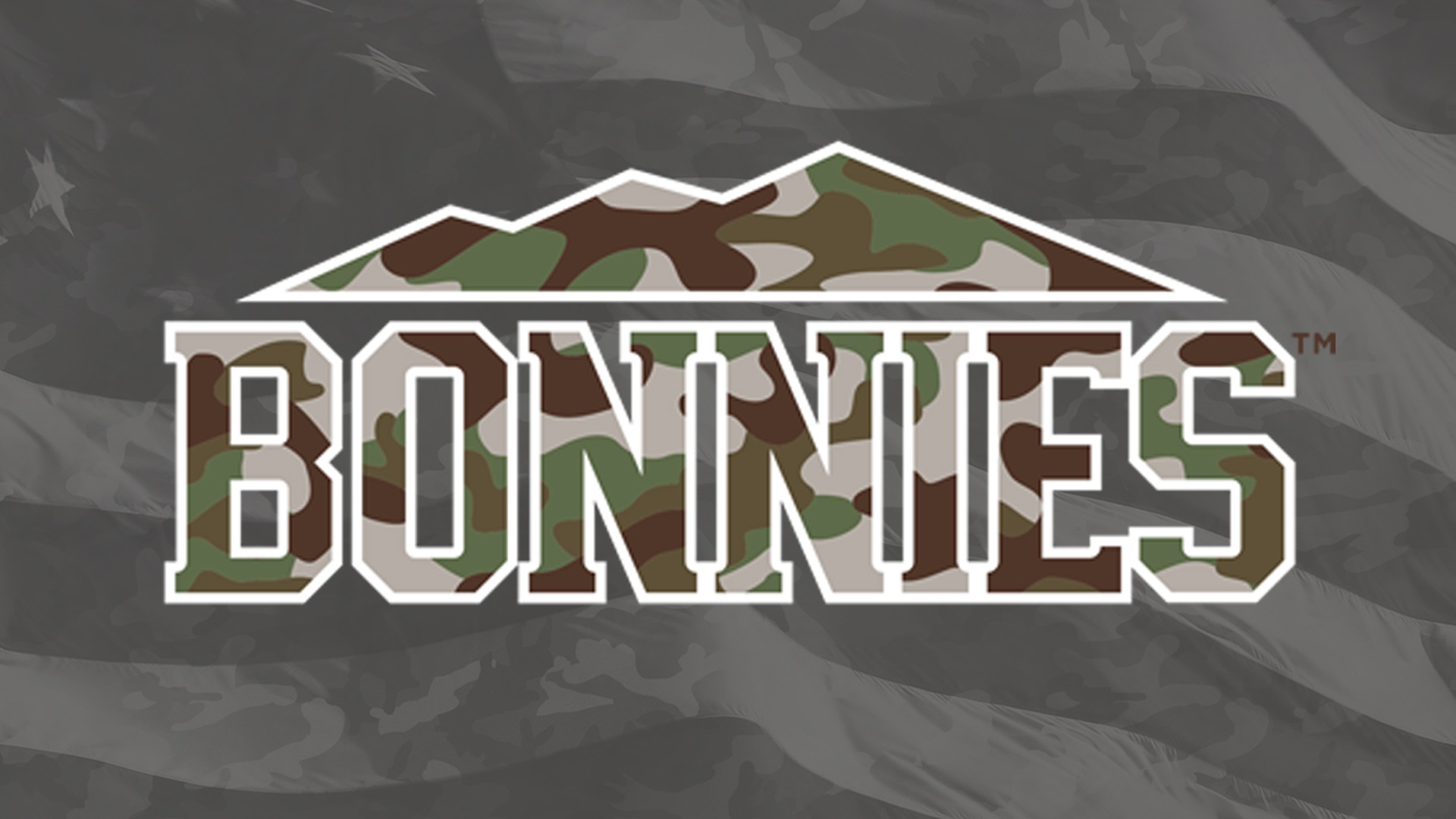 Camo Logo