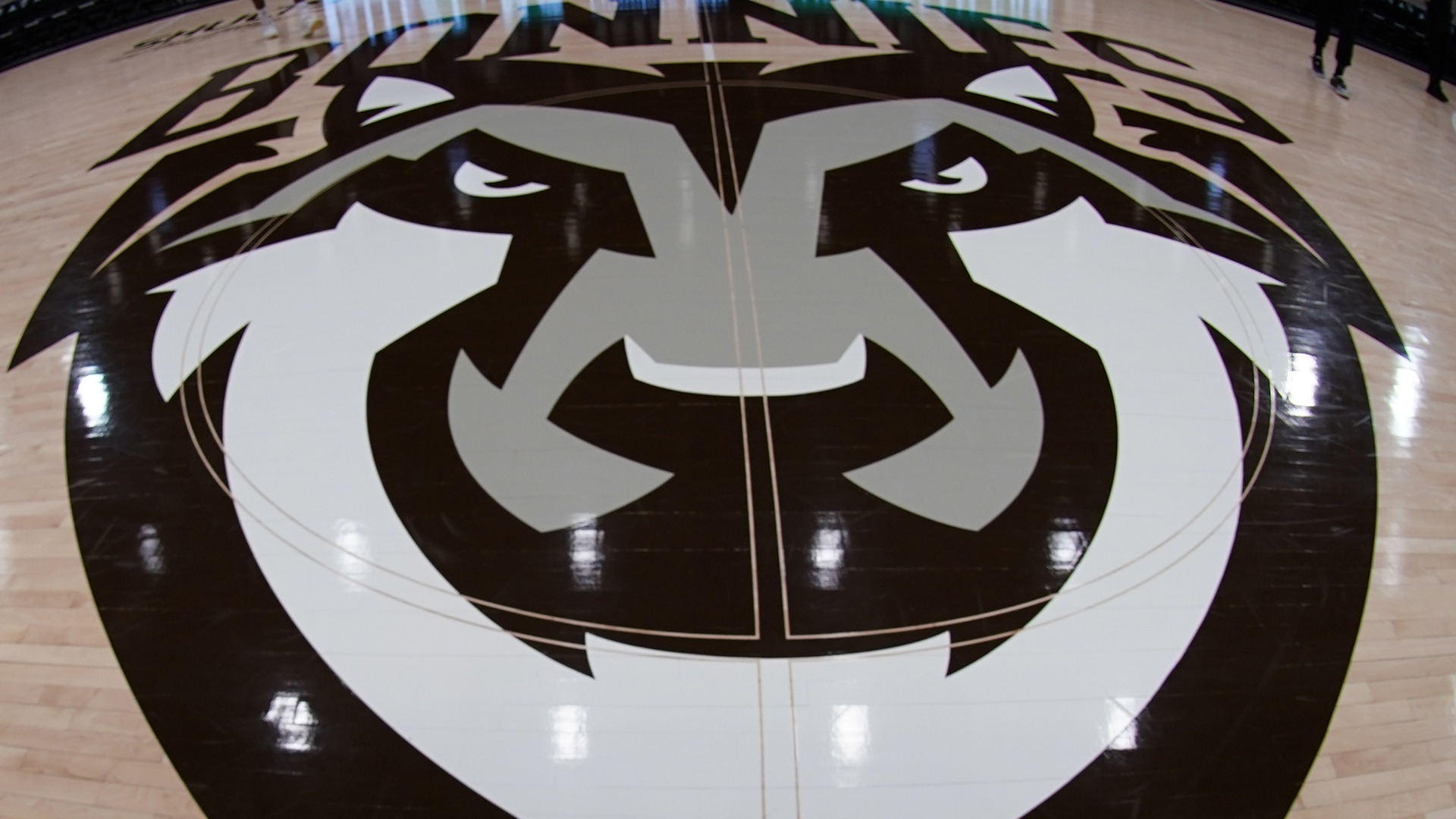Reilly Center midcourt