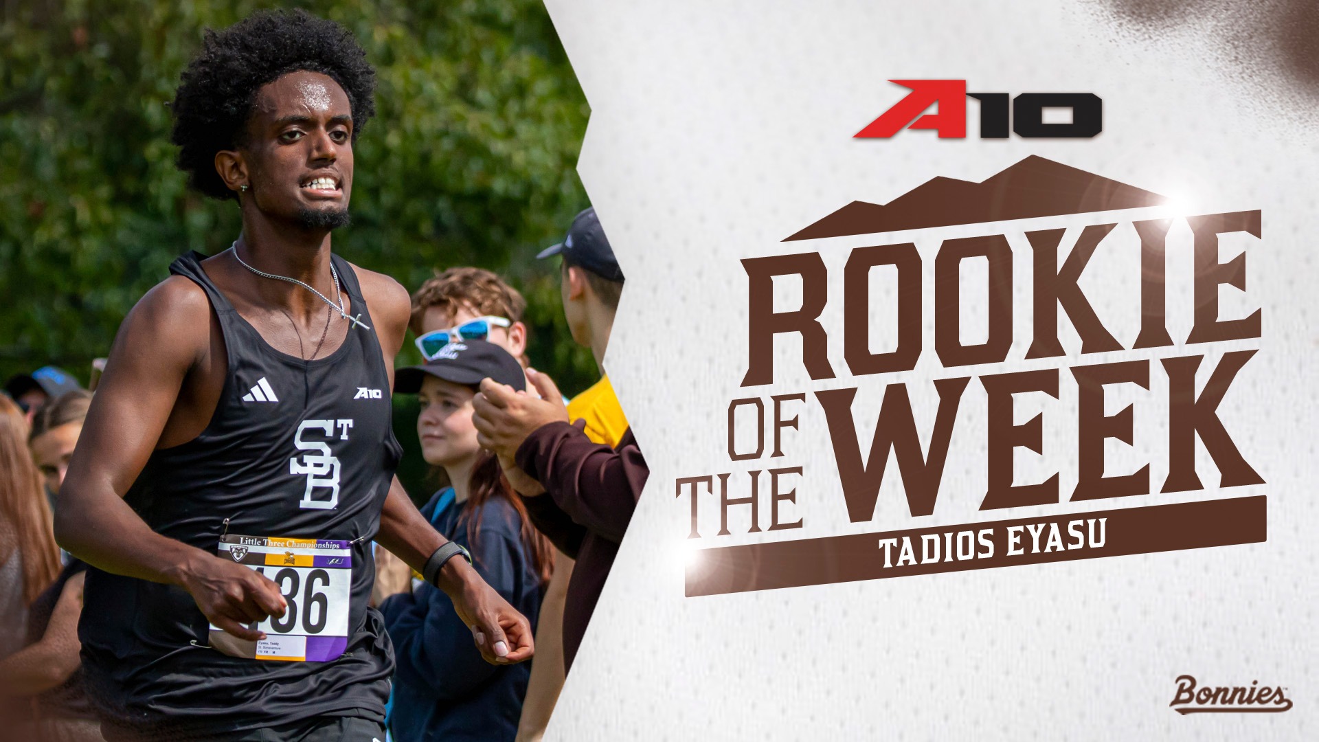 Teddy Rookie of the Week