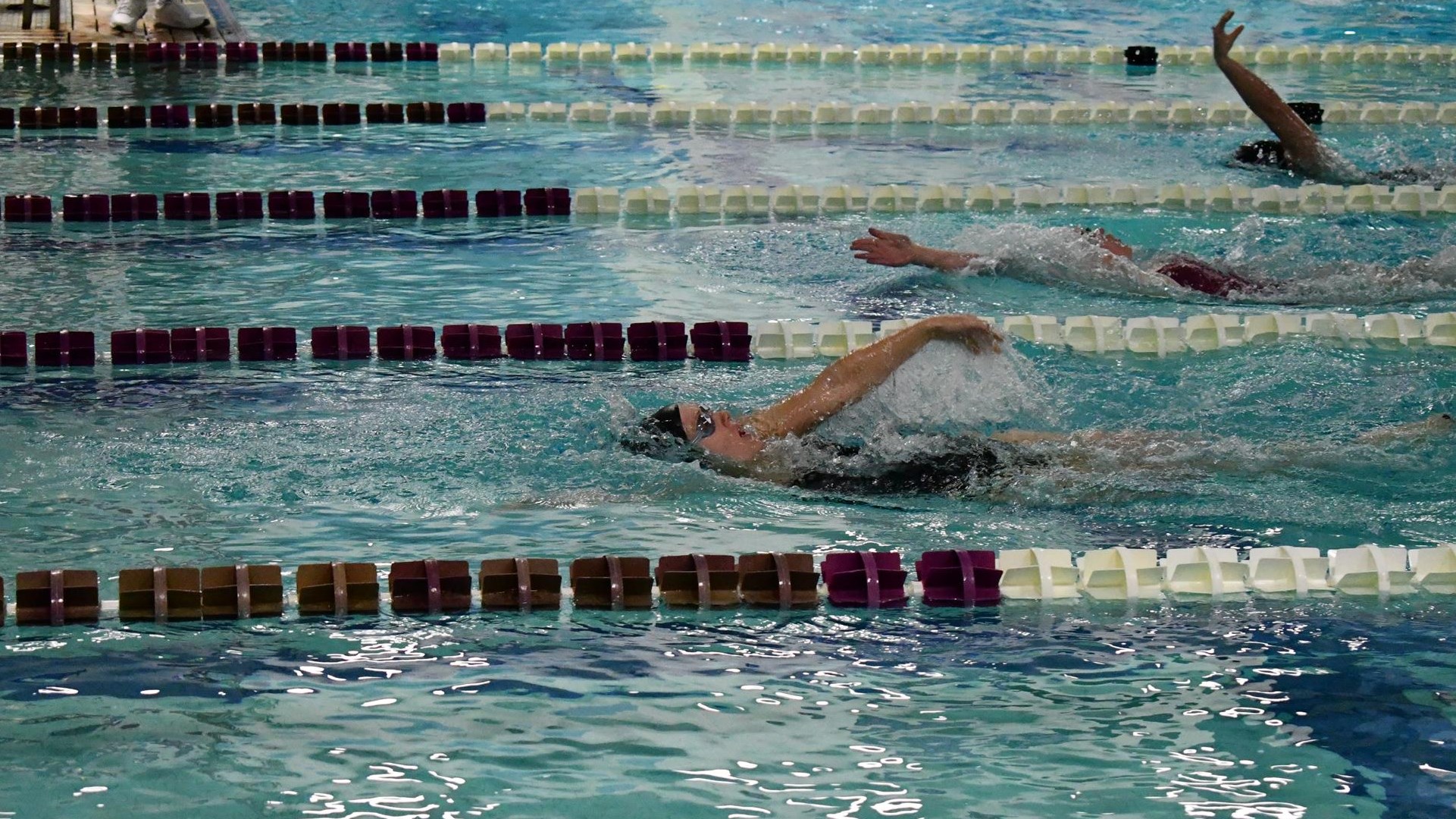 Swim and dive falls to nationallyranked Hope Albion College