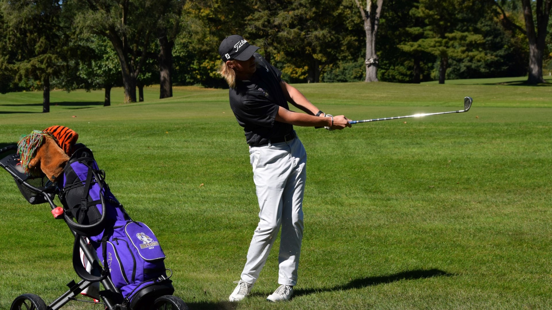 Men's golf takes seventh at MIAA Fall Finale Albion College