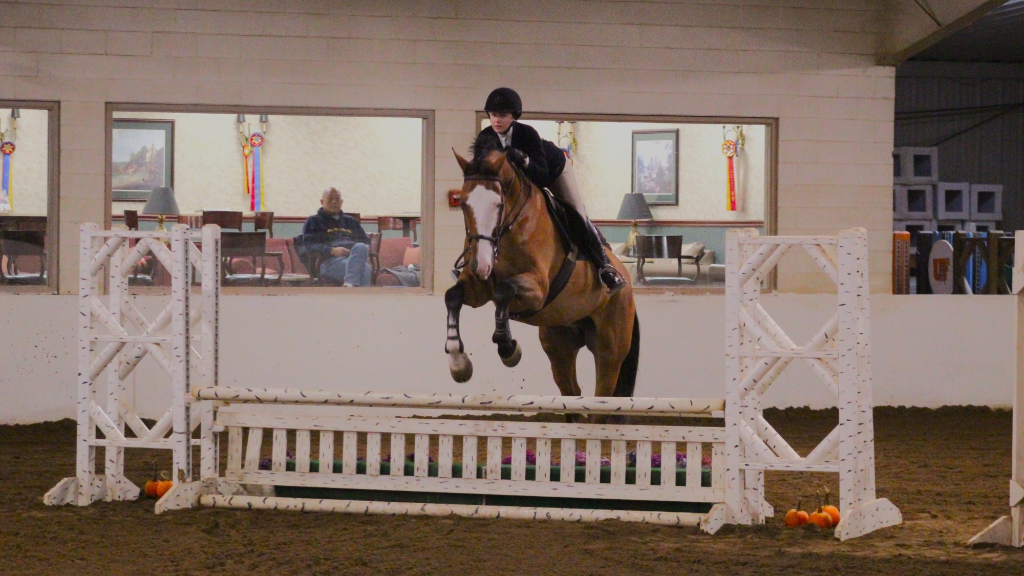 Hunt Seat Rides at Findlay