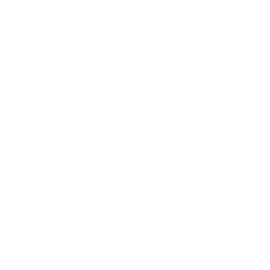 New South Conference(NSAC), opens in a new tab