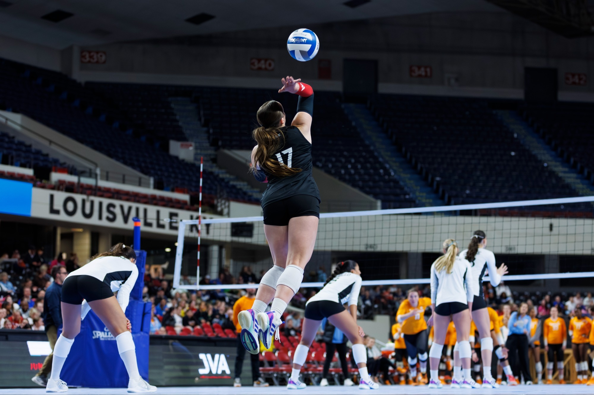 Molly Urban headshot