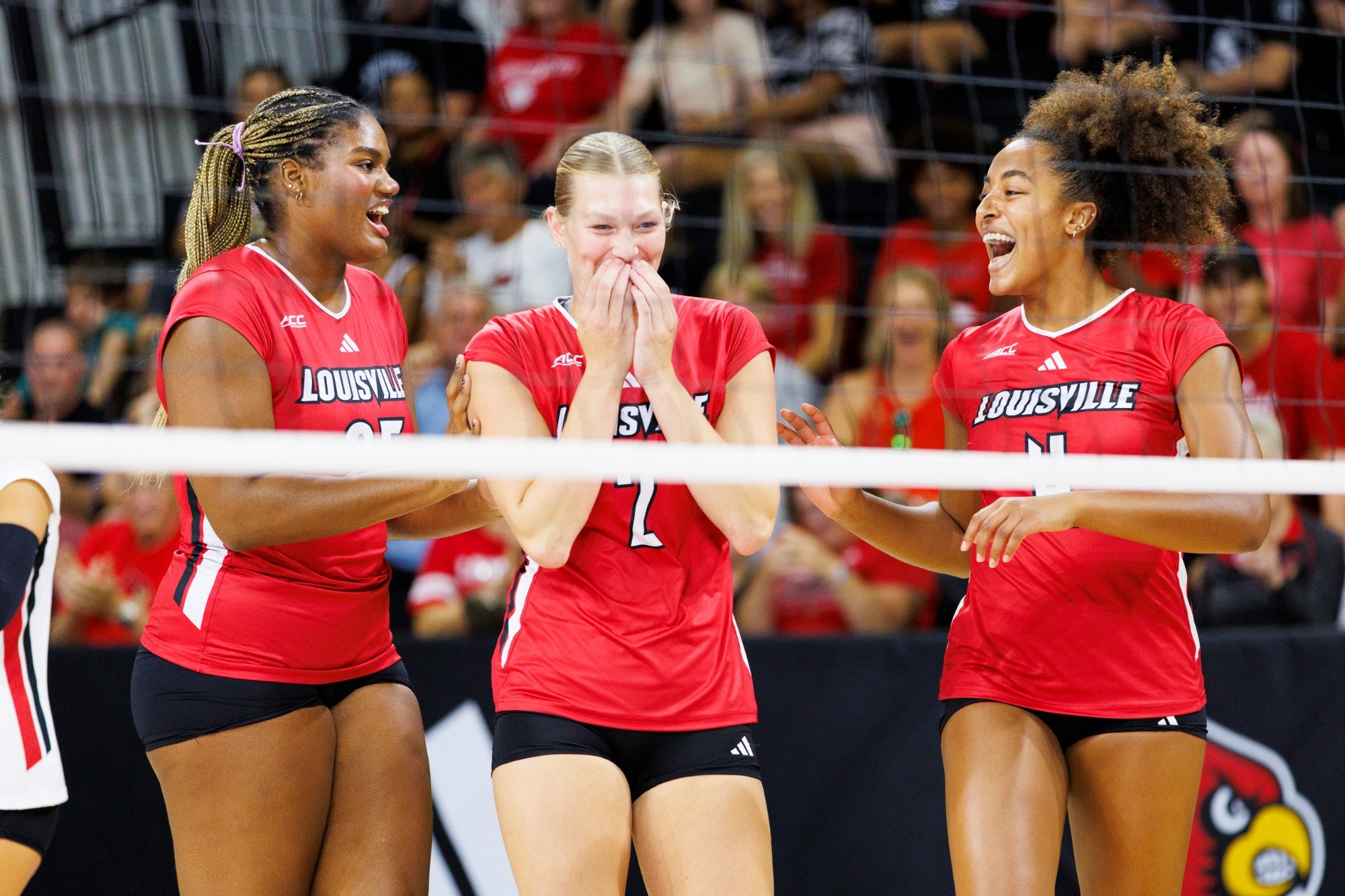 Chloe Meester headshot