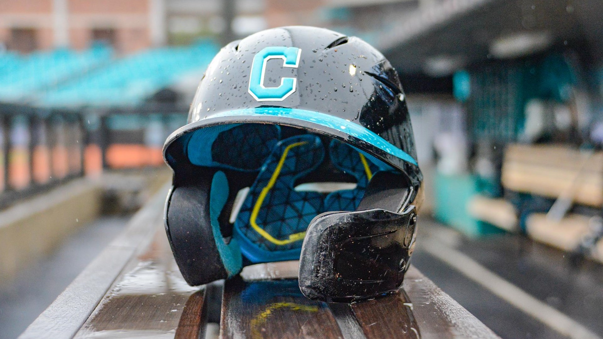 Baseball helmet in the rain