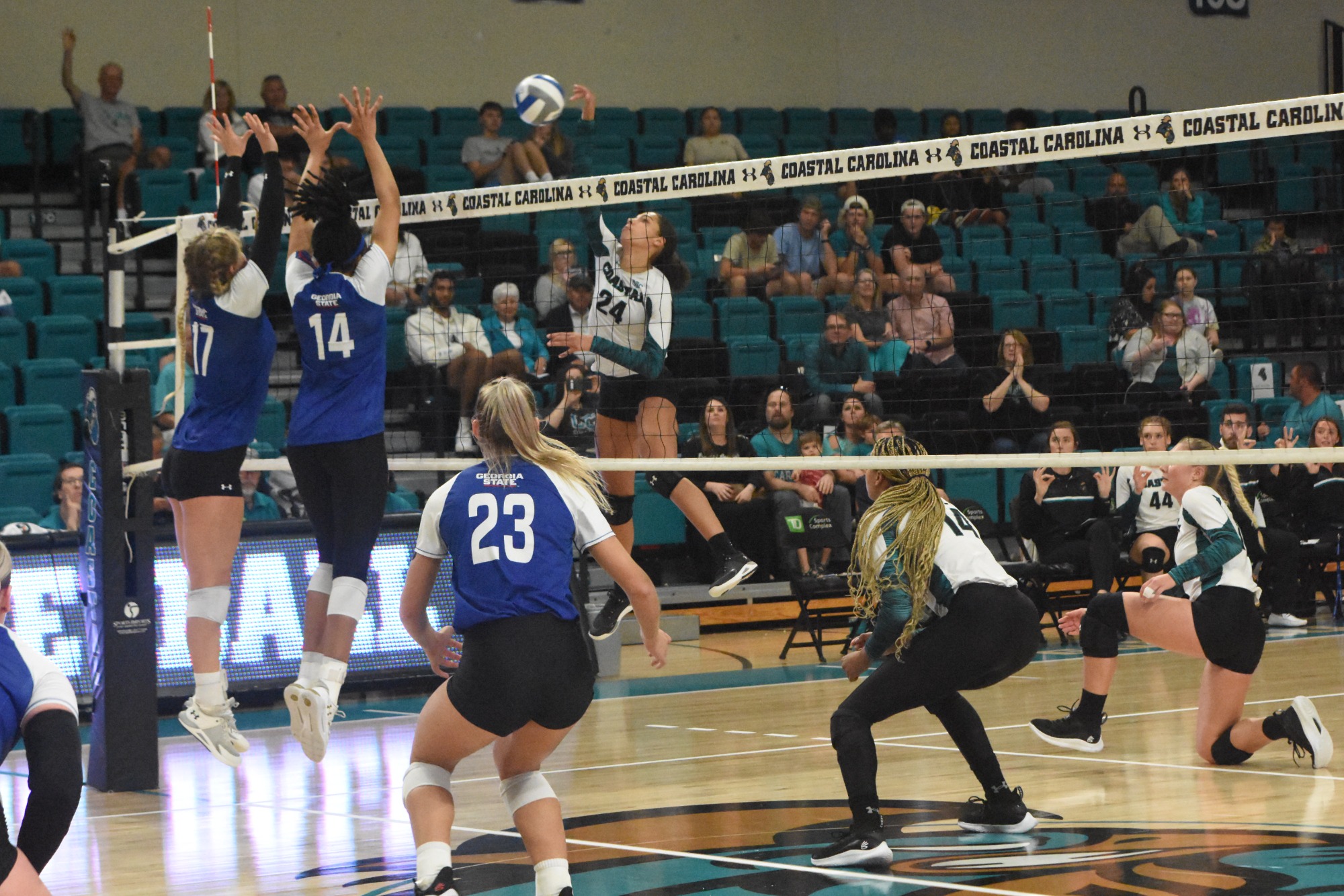 Jasmine Rivest Women's Volleyball Coastal Carolina University Athletics