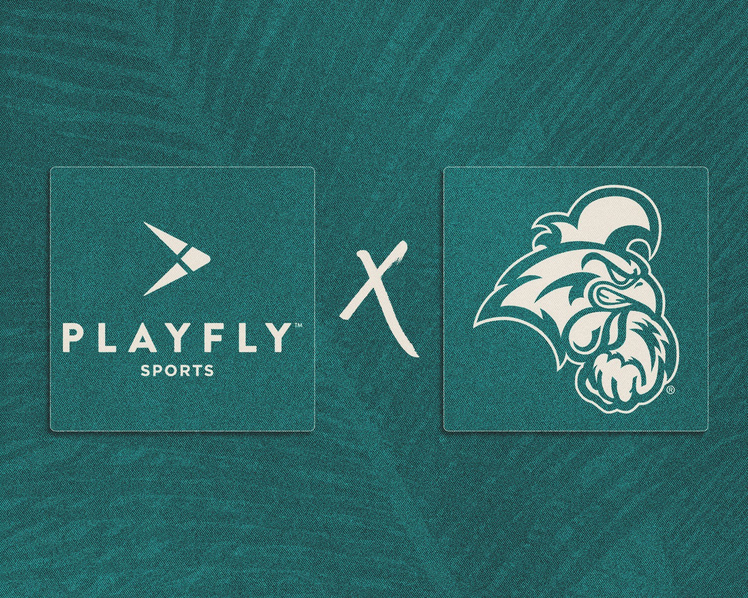 PlayFly