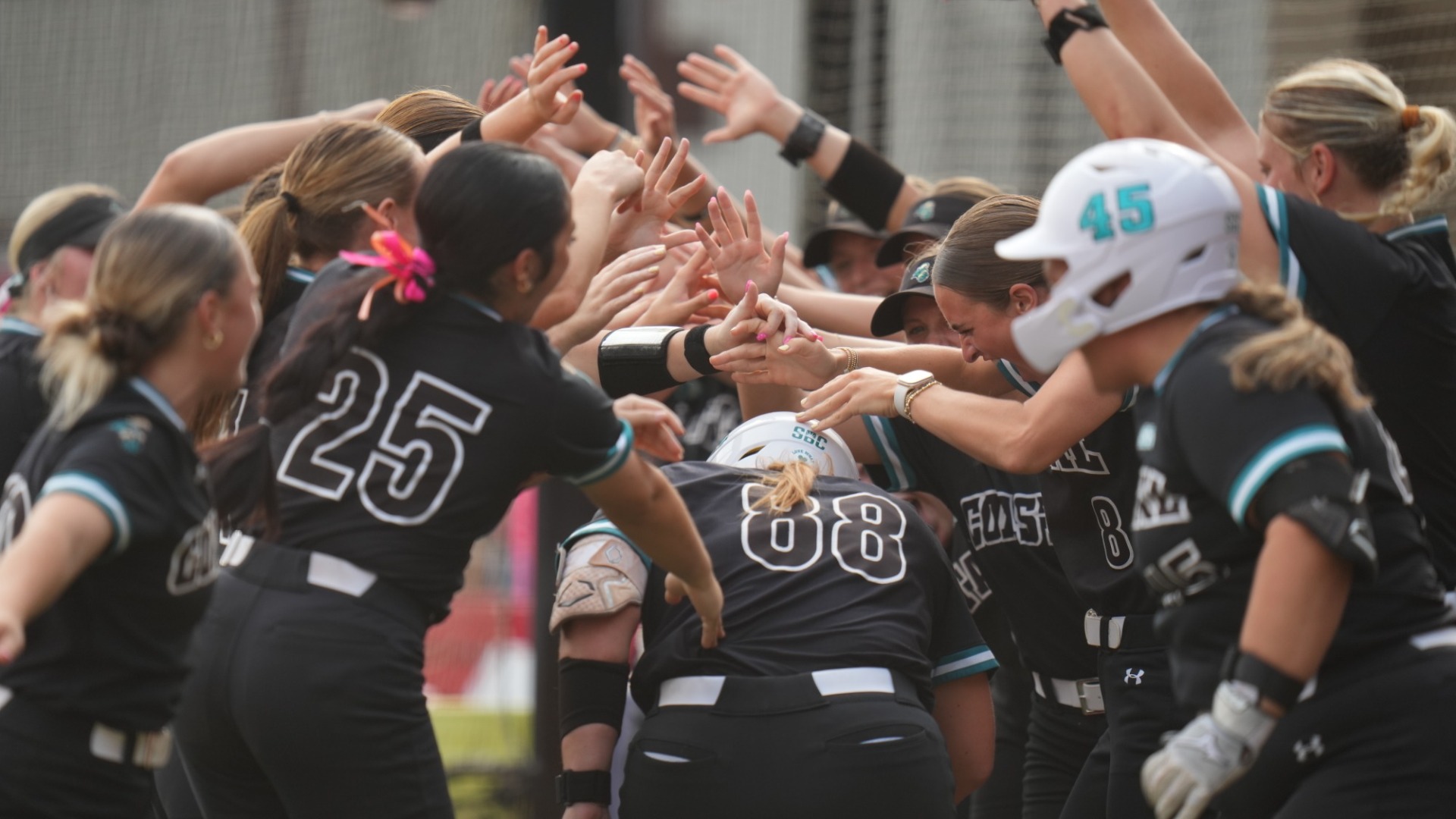 sball cele