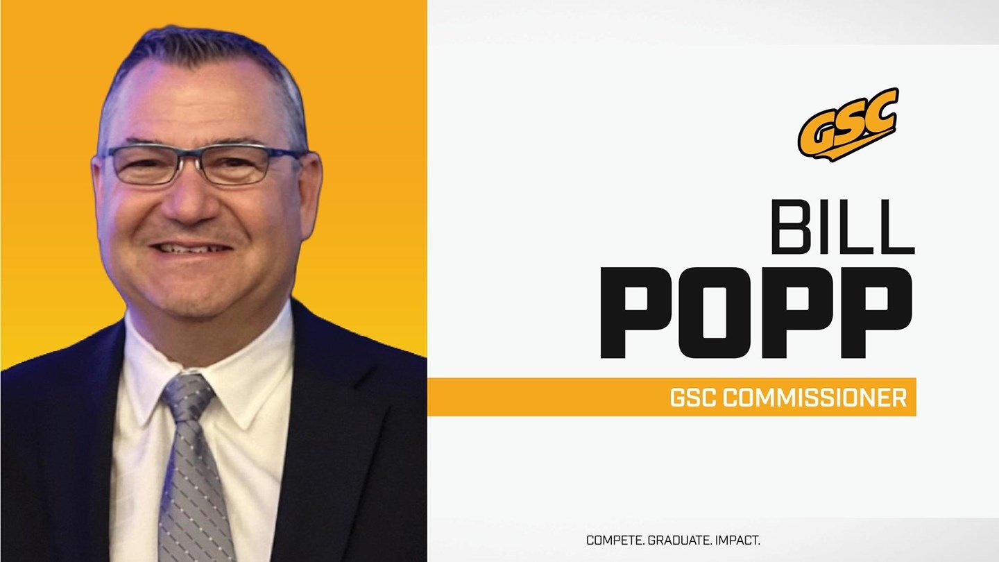 Popp-webcover