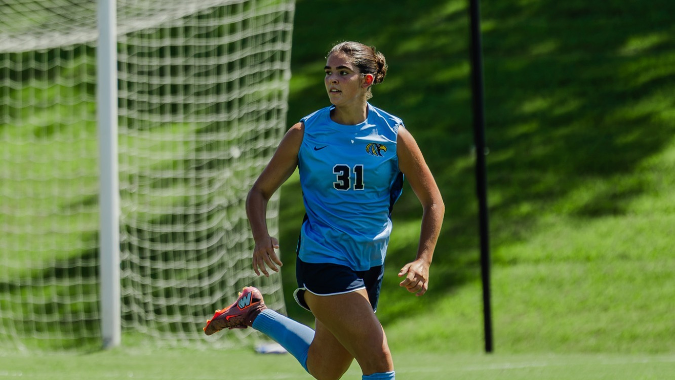 wsoc_lee