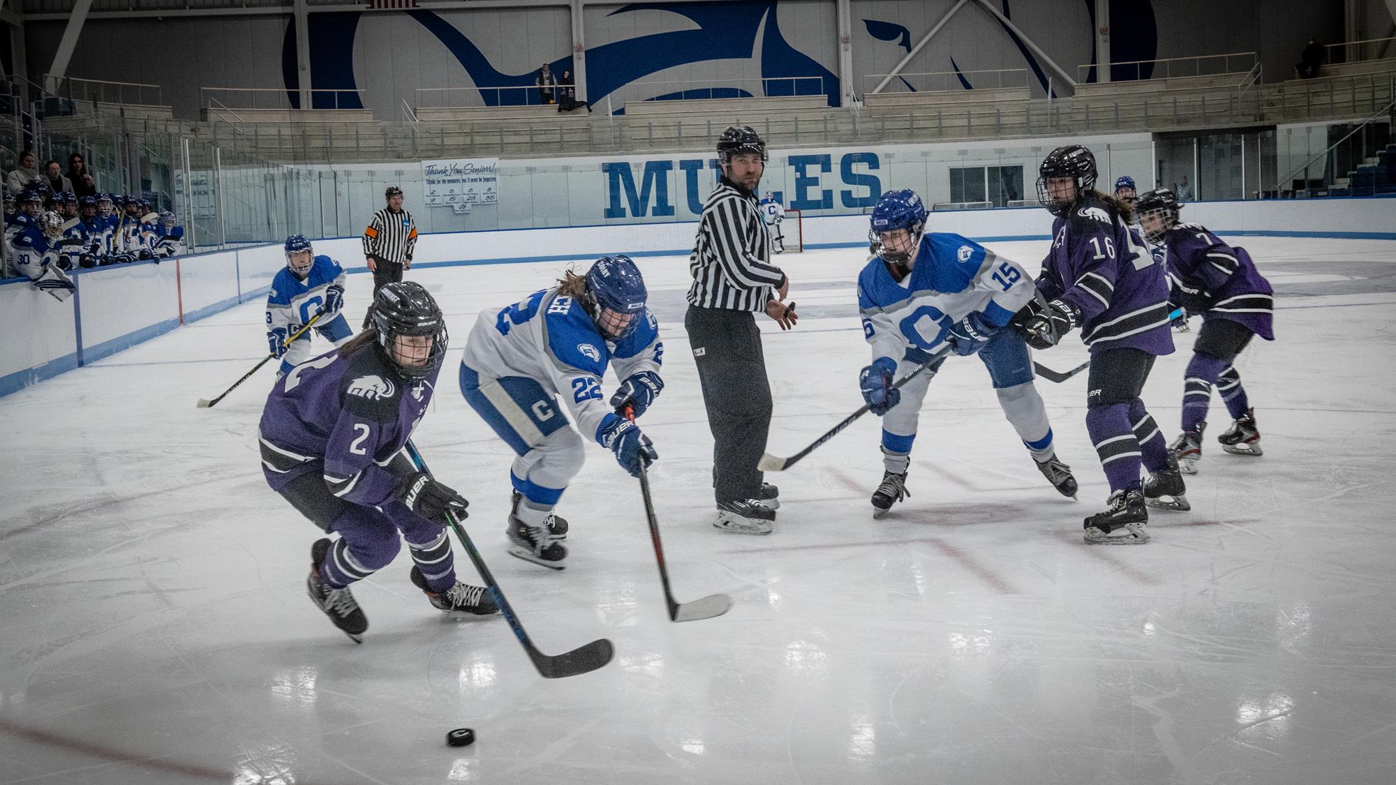 Women's Ice Hockey Celebrate Six Seniors in Last Regular Season Game