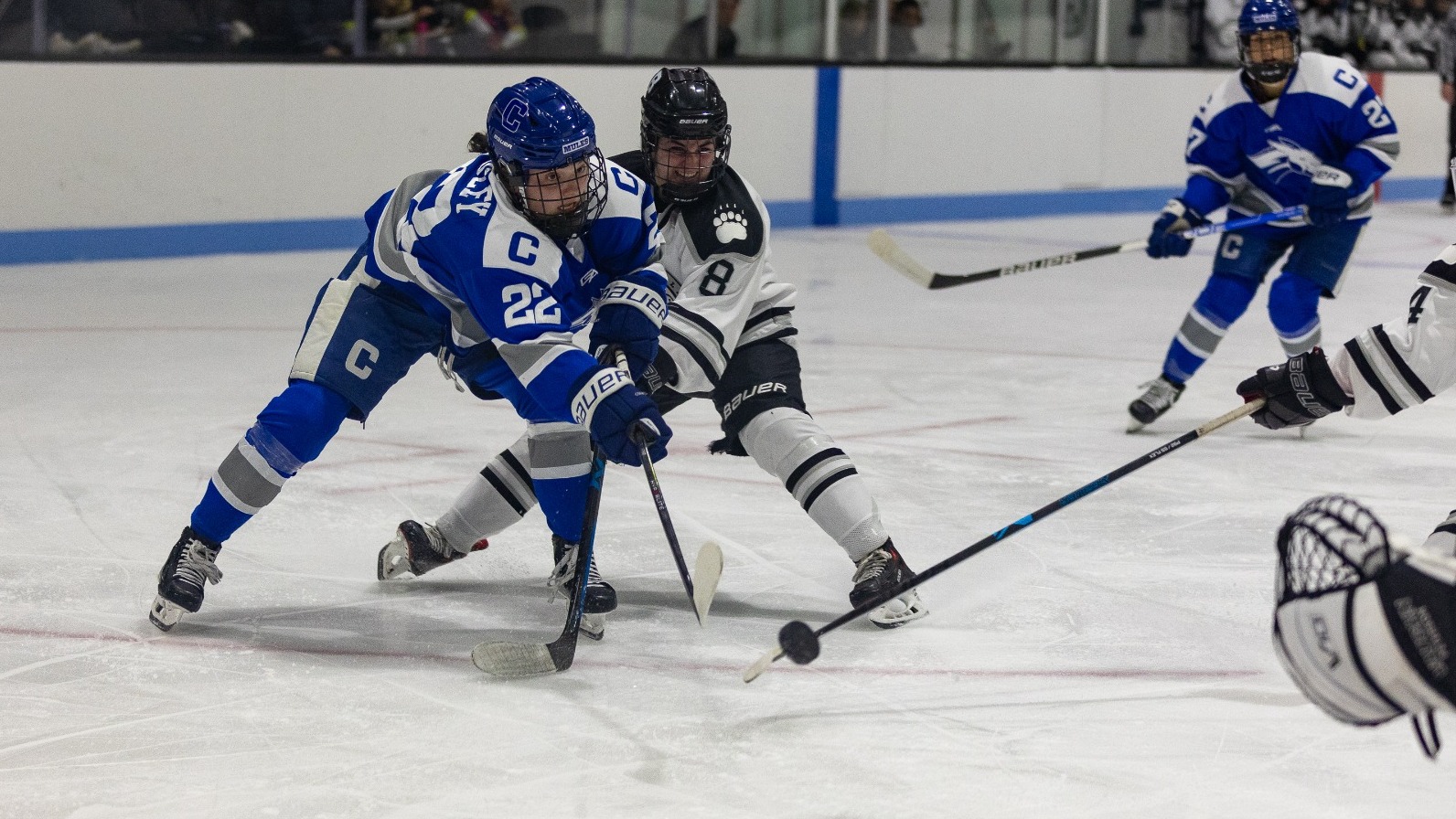 Women's Ice Hockey Falls to Bowdoin on the Road Colby College