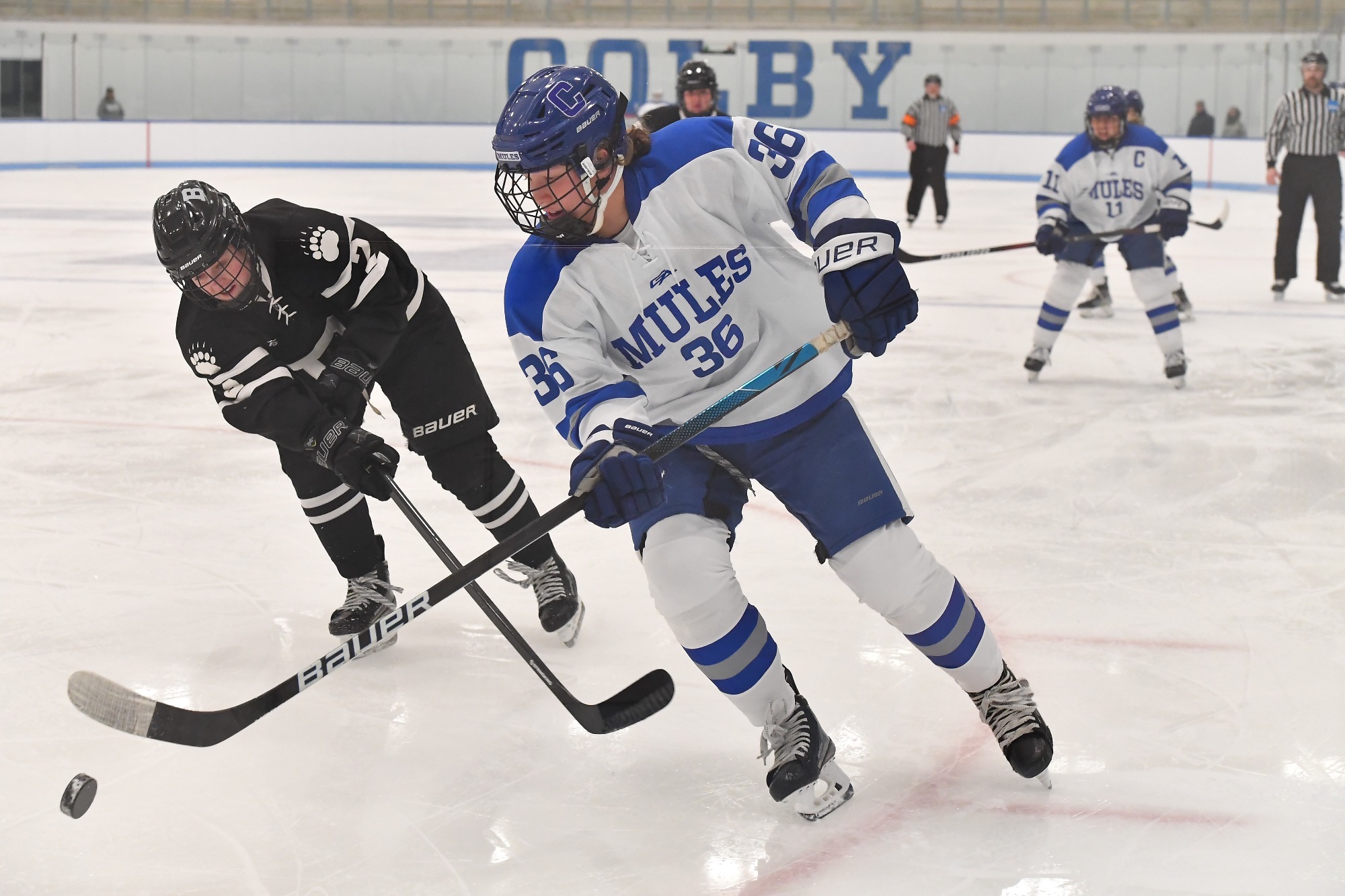 Courtney Schumacher 202324 Women's Ice Hockey Colby College