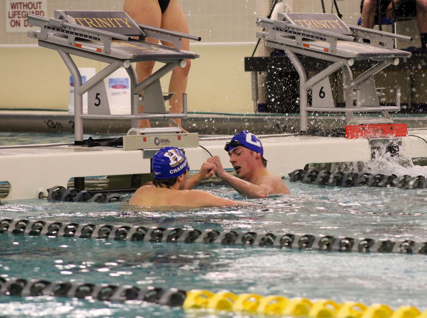 Men's swimming Trinham