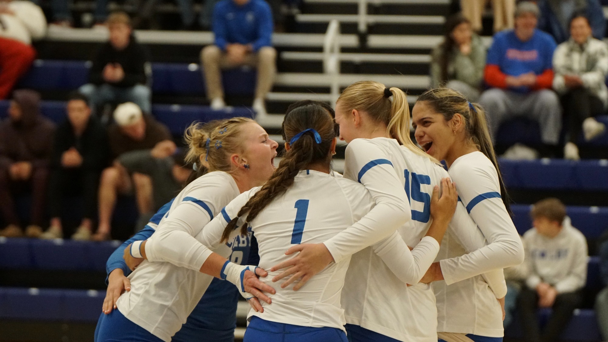 mules vb