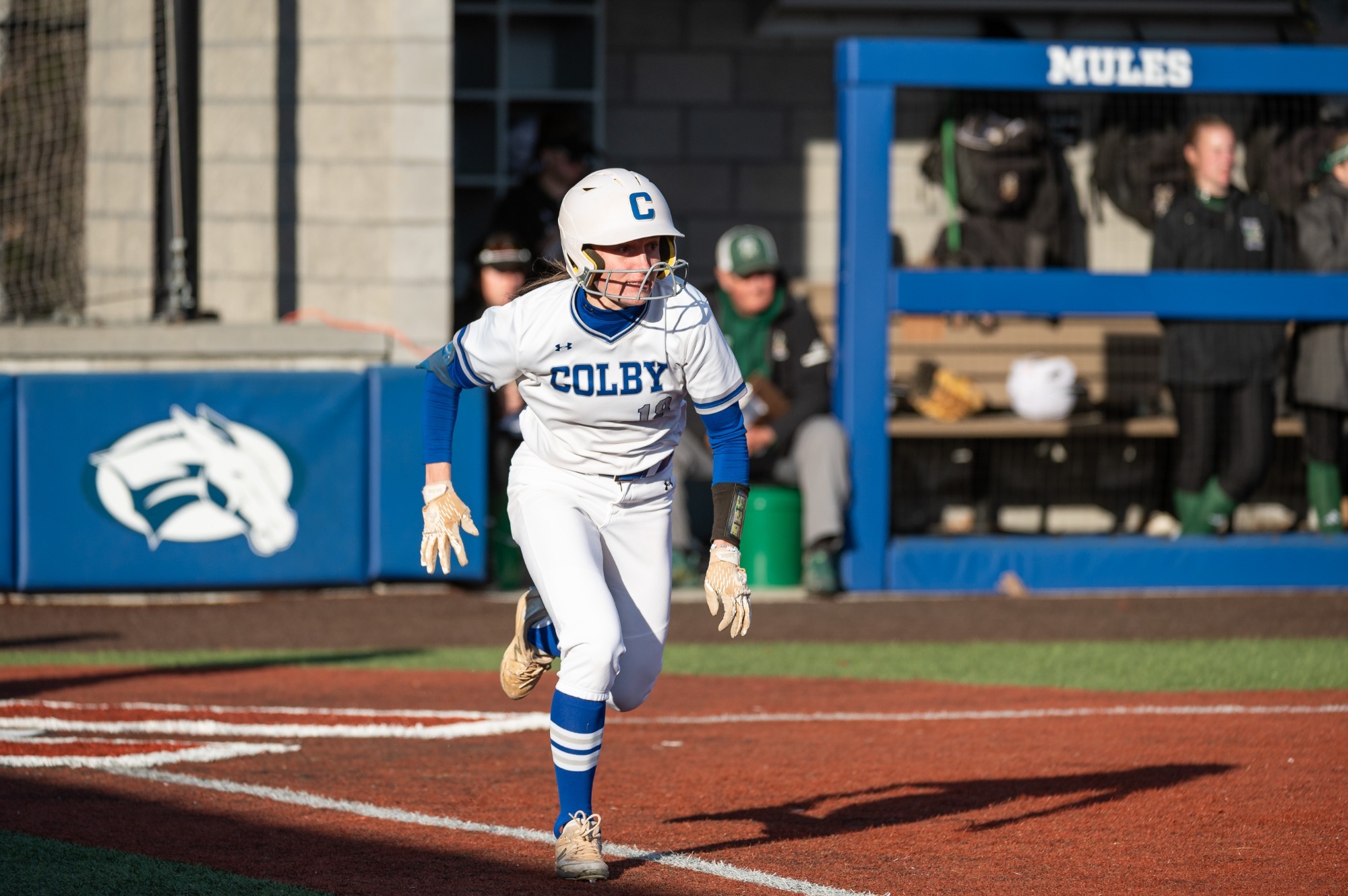 Carissa Cassidy vs. Husson 2026