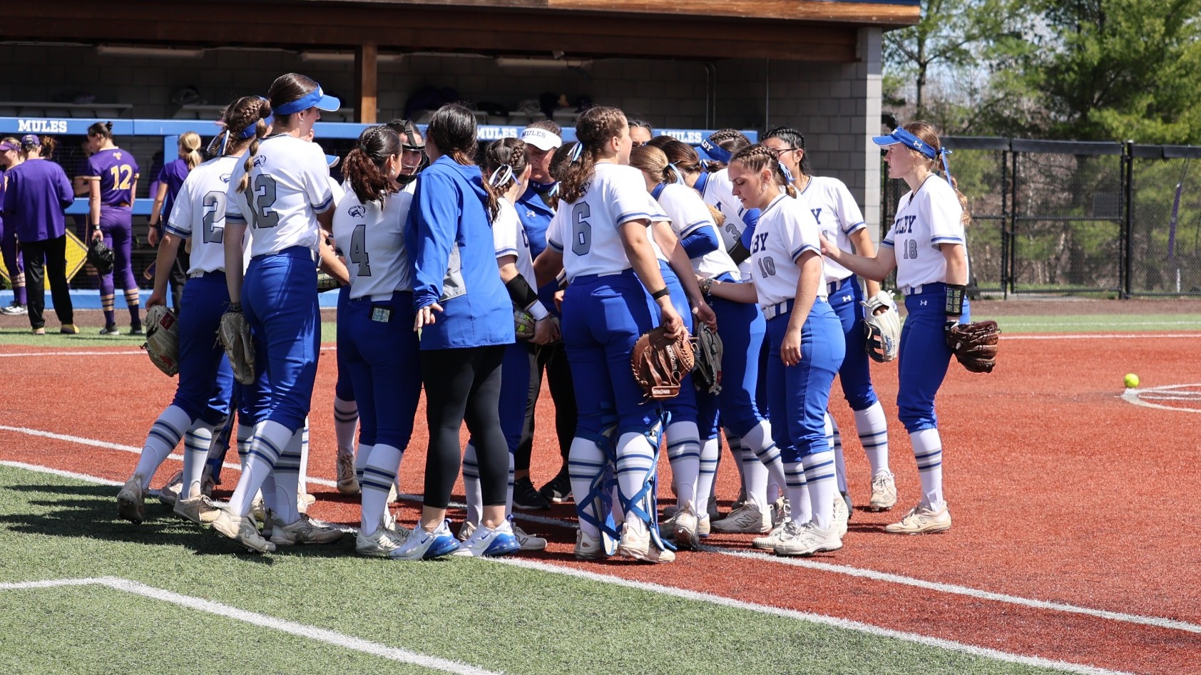 Softball Team Huddle vs. Williams 2026