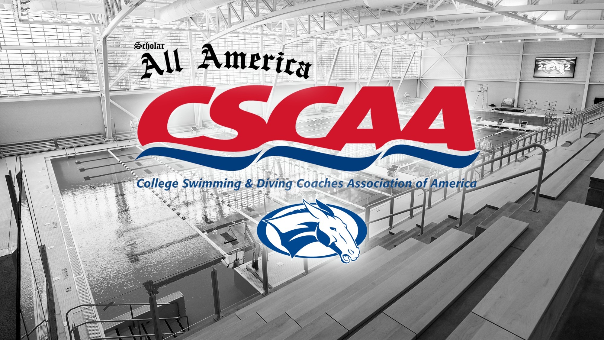 Swim CSCAA Scholar All America