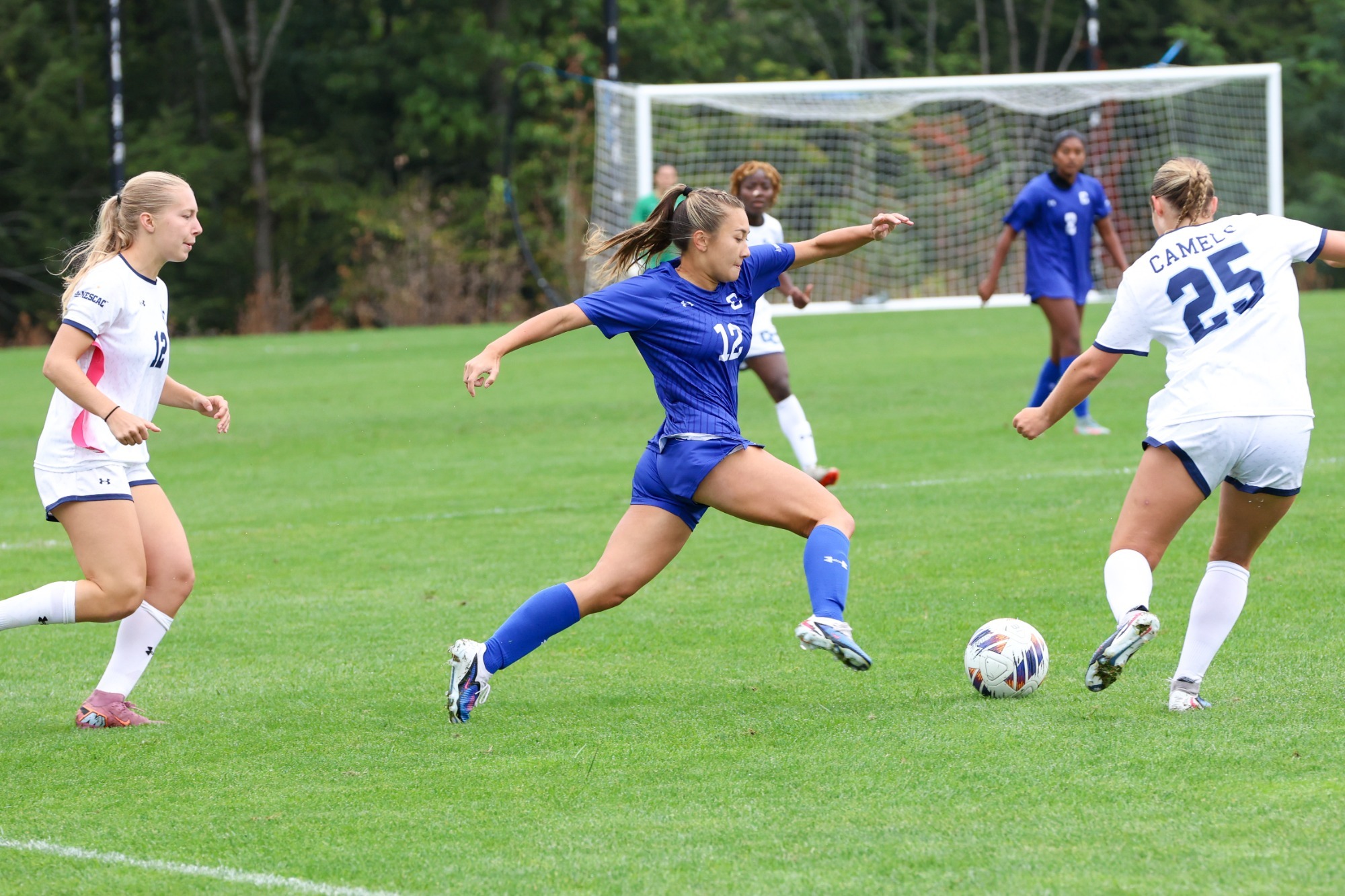 WSOC