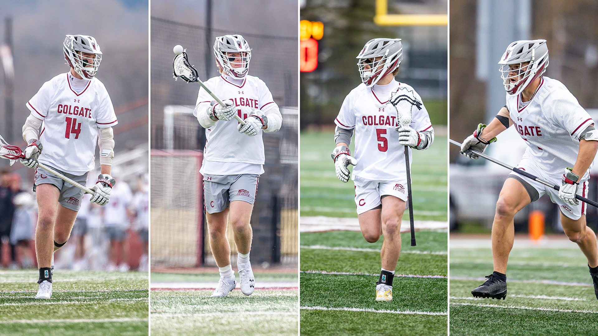 Web Honors for MLAX